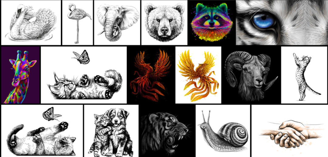 Anastasia Osipova动物题材插画作品汇总图