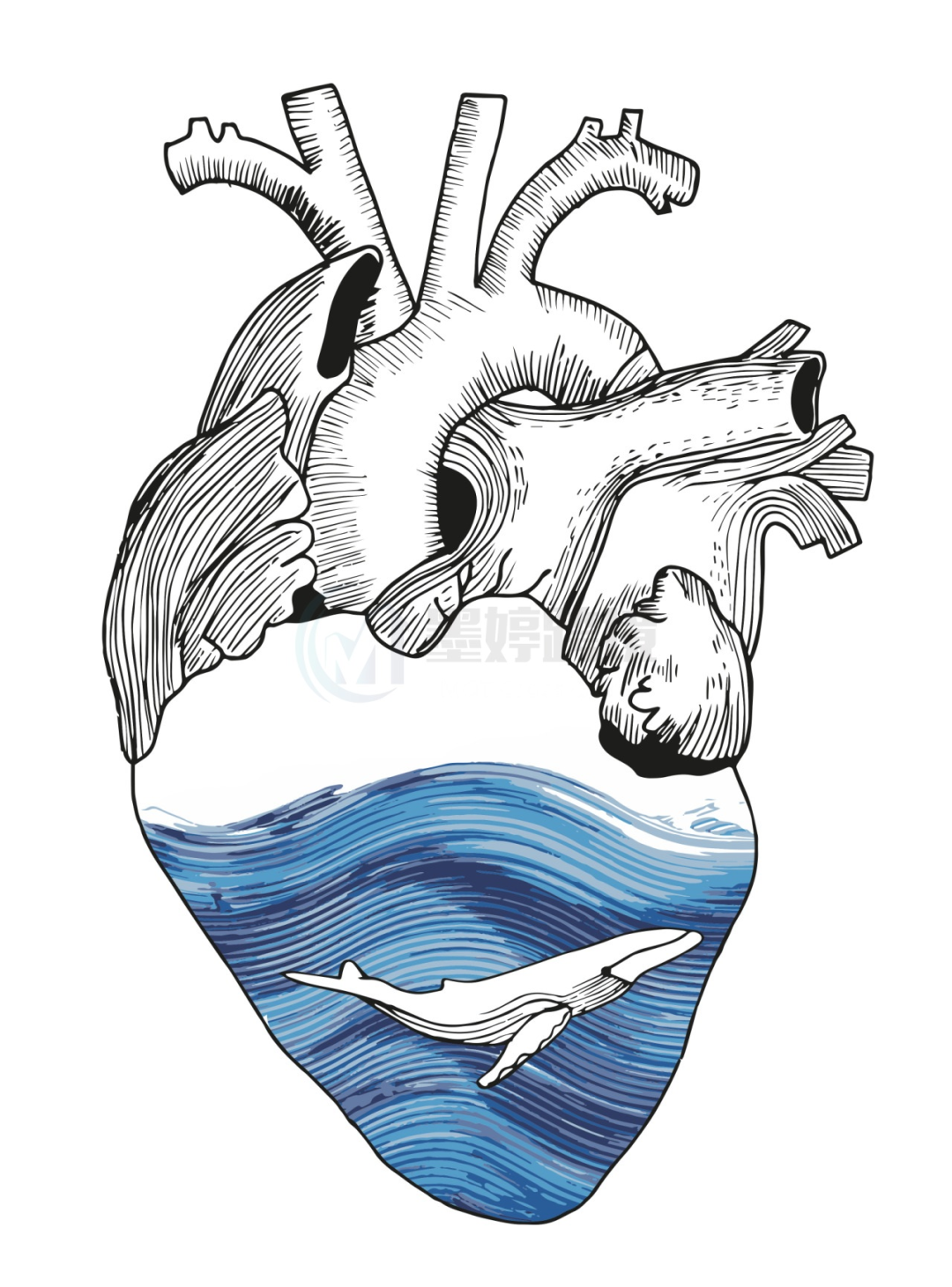 Katy Anne Lynch海洋主题插画Heart of the Sea示例