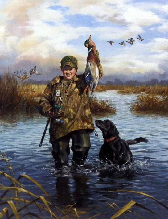 Ralph J. McDonald野生动物插画一