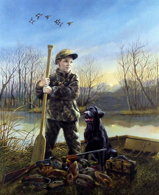 Ralph J. McDonald野生动物插画二